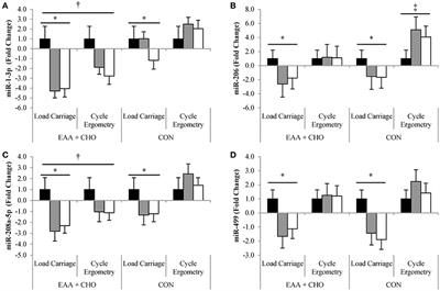Skeletal Muscle myomiR Are Differentially Expressed by Endurance Exercise Mode and Combined Essential Amino Acid and Carbohydrate Supplementation